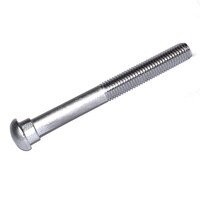 15-101-120150 Round Head Oval Neck Track Bolt 3/4-10 X 15 304 S/S