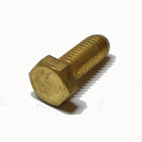 Hex Head Cap Screw 1/4-20 X 1  Brass