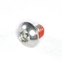 Button Head Torx Pin In Cap Screw M6-1.00 X 6  Type A2 Stainless Steel W/ Patch