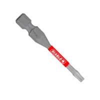 Torx Bit T10 x 2  Diablo®