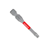 Torx Bit T20 x 2  Diablo®
