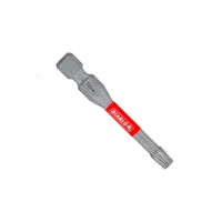 Torx Bit T25 x 2  Diablo®