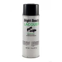 Spray Paint  Gloss Black  (Bright Beauty)