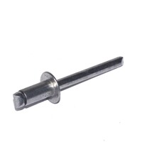 Blind Rivet 1/8 X 0.063-0.125  Grip Range  Stainless Steel Body and Mandrel  Regular Flange