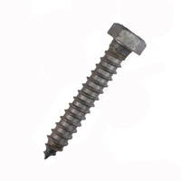 Hex Lag Screw 1/2 X 2  Grade 2 Plain